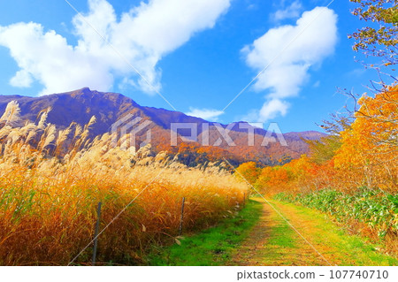 Late autumn Mt. Mt. Mt. Mt. Mt. Mt. Mt. Mt. Bald and the refreshing pampas grass fields. Late autumn Mt. Mt. Mt. Mt. Mt. Mt. Mt. Mt. Bald and the refreshing pampas grass fields. 107740710