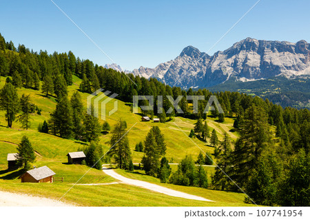 Rocky mountain peaks of Dolomites framed by greenery of meadow and woodlands Rocky mountain peaks of Dolomites framed by greenery of meadow and woodlands 107741954