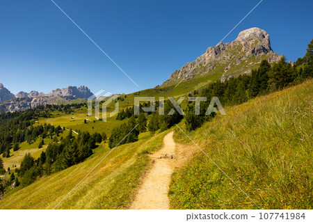 Footpath among green meadows of Sas de Putia - Peitlerkofel Footpath among green meadows of Sas de Putia - Peitlerkofel 107741984