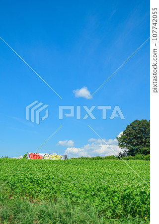 Impressive summer scenery [Nagano Prefecture] 107742055