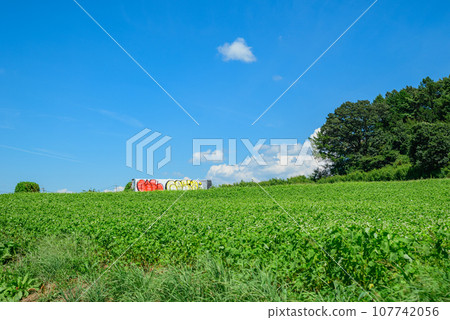 Impressive summer scenery [Nagano Prefecture] 107742056