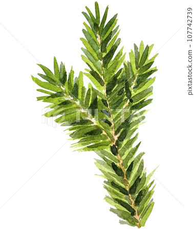 Watercolor Christmas branch. Hand drawn botanical element isolated on white background. Watercolor spruce branches. Realistic branches of green pine. branch with needles. Watercolor Christmas branch. Hand drawn botanical element isolated on white background. Watercolor spruce branches. Realistic branches of green pine. branch with needles. 107742739