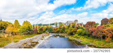 多摩川上游步美橋的秋葉（東京都青梅市） 107742905