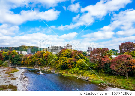多摩川上游步美橋的秋葉(東京都青梅市) 多摩川上游步美橋的秋葉(東京都青梅市) 107742906