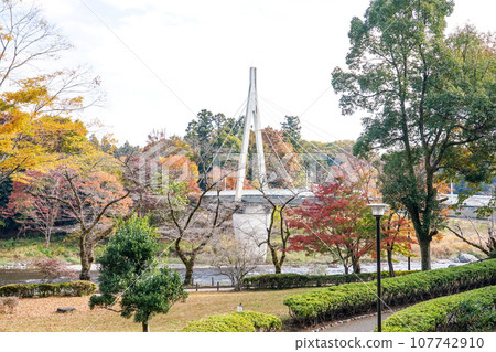 多摩川上游步美橋的秋葉(東京都青梅市) 多摩川上游步美橋的秋葉(東京都青梅市) 107742910