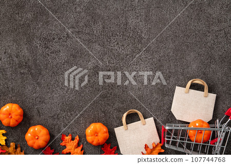 autumn shopping cart sale background Autumn shopping ショッピング autumn shopping cart sale background Autumn shopping ショッピング 107744768