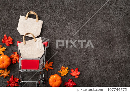 秋天 購物 購物車 銷售 背景 Autumn shopping ショッピング 107744775