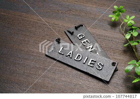 toilet sign door plate 107744817