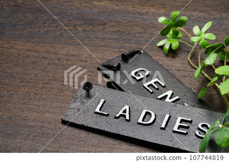 toilet sign door plate 107744819