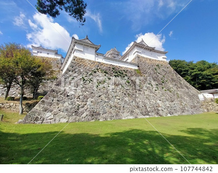 從姬路城主塔腳下仰望的美麗景色 從姬路城主塔腳下仰望的美麗景色 107744842