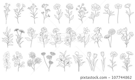 Flower vector line drawing illustration set 107744862