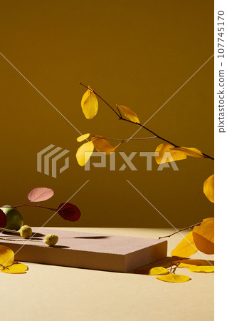 Product display scene with empty brown podium and dry leaves in a rustic autumn themed background. Front view. Concept for advertising, presentation product Product display scene with empty brown podium and dry leaves in a rustic autumn themed background. Front view. Concept for advertising, presentation product 107745170