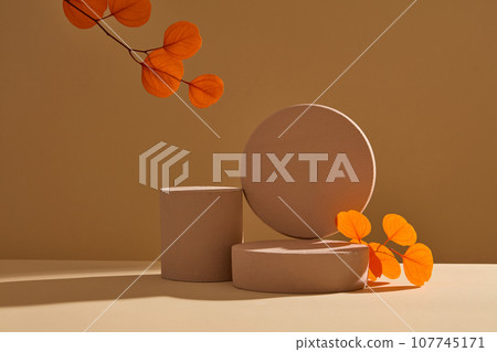Autumn floral frame with brown cylinder podiums decorated with orange branch leaves on brown background. Advertising scene with blank space for display product. Minimalist concept 107745171