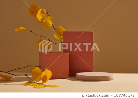 Minimalist art background with red and brown podiums decorated on brown background. Yellow leaves remind of a warm autumn. Advertising photo, front view 107745172