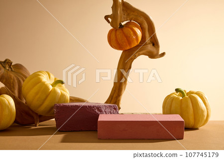 Blank minimalist empty showcase template with Autumn concept. Against the backlit background, two brick podiums decorated with pumpkins and dry twig. Advertising photo 107745179