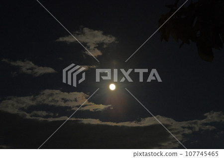 北斗市白州町，月齡13.1，閃耀在雲間，九月的小望月 107745465