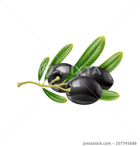 Realistic black raw olives. Isolated olive branch and leaves. 3d vector berries, nestled amidst vibrant green foliage, dangle from a rustic branch, offering a tantalizing taste of the Mediterranean Realistic black raw olives. Isolated olive branch and leaves. 3d vector berries, nestled amidst vibrant green foliage, dangle from a rustic branch, offering a tantalizing taste of the Mediterranean 107745686