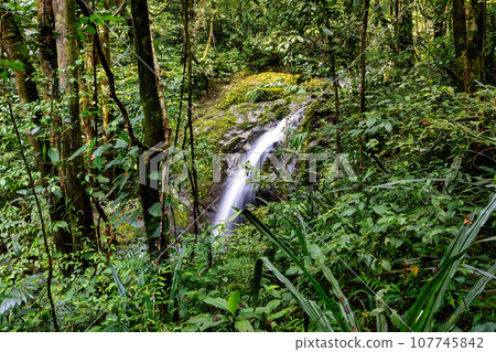Waterfall in deep forest, Manuel Antonio National Park, Costa Rica wilderness landscape Waterfall in deep forest, Manuel Antonio National Park, Costa Rica wilderness landscape 107745842