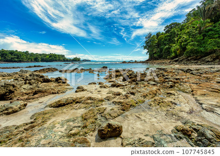 Playa in Manuel Antonio National Park, Costa Rica wildlife. 107745845