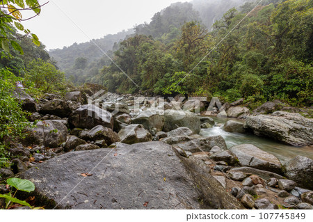 The Orosi River, Tapanti - Cerro de la Muerte Massif National Park 107745849