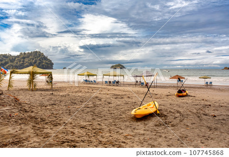 Playa in Quepos, Manuel Antonio National Park, Costa Rica wildlife. 107745868