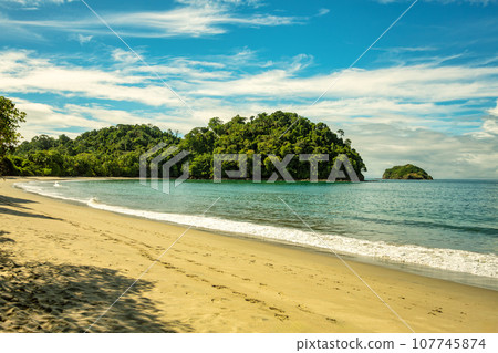Playa in Manuel Antonio National Park, Costa Rica wildlife. 107745874