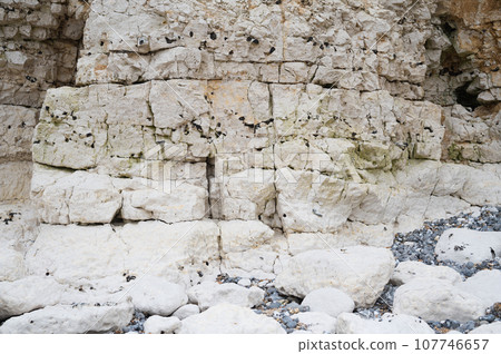 White cliffs background at Cuckmere Haven beach in Hope Gap. Located between Eastbourne and Seaford in East Sussex, UK 107746657