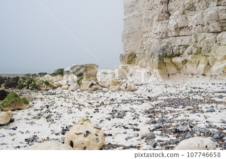 Misty morning in Hope Gap beach, Cuckmere Haven, located between Seaford and Eastbourne. Pebbly coastline with seaweed and the white cliffs on the background, selective focus 107746658