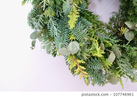 簡單的自然花環部分白色背景 107746961