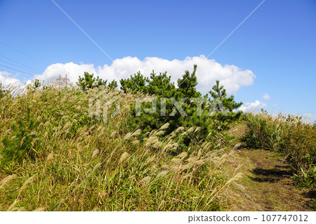 The road leading to Shiomi Park Observation Deck (Muroran City, Shiomi Park) The road leading to Shiomi Park Observation Deck (Muroran City, Shiomi Park) 107747012