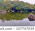 池塘、綠樹、鯉魚組成的莊嚴景觀 107747039