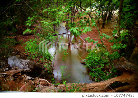 Old Irrigation Canal Time Lapse 107747455