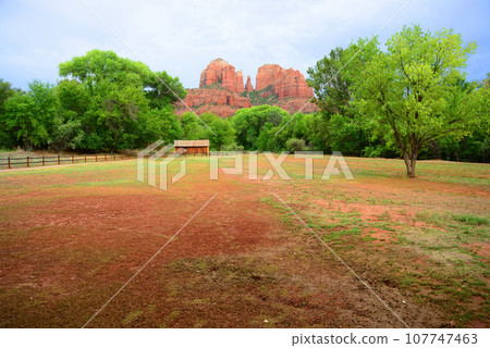 Cathedral Rock Sedona Arizona 107747463