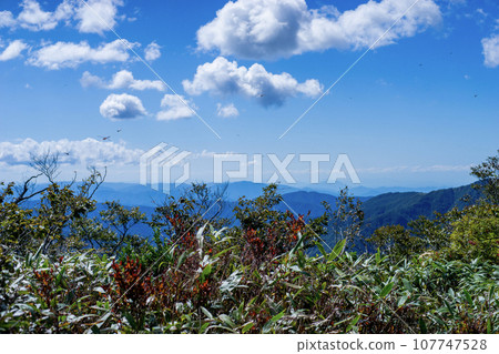 View of the summit of Mt. Yashagaike and red dragonflies View of the summit of Mt. Yashagaike and red dragonflies 107747528