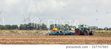 Big flock of hungry seagulls birds following modern tractor agricultural machine at farm field sowing earth or prepare soil planting seeds. North european farmland rural landscape banner 107747885