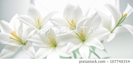 white lily flowers banner. White lily flower on white background. Floral wedding card, celebration, invitation, farewell greeting, condolence. Generative AI. white lily flowers banner. White lily flower on white background. Floral wedding card, celebration, invitation, farewell greeting, condolence. Generative AI. 107748354