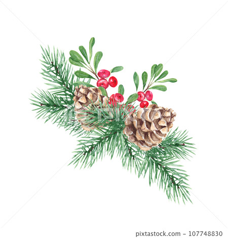 Winter plants composition. Forest pine branches with cone, cowberry, lingonberry branch with green leaves and red berries. Symbols of the New year and Christmas. Watercolor hand painted illustration 107748830