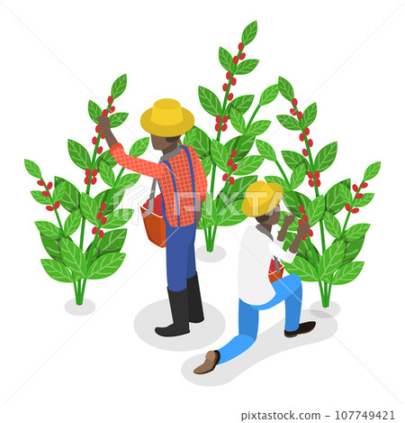 3D Isometric Flat Vector Illustration of Coffee Plantation. Item 4 107749421