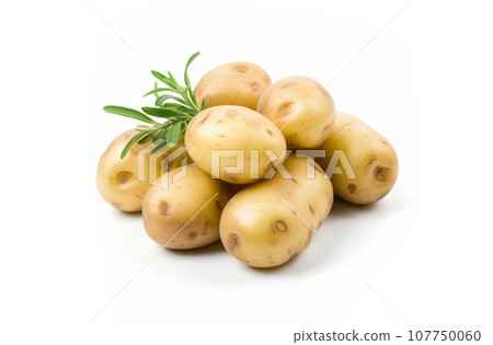 Washed Potatoes. Raw potatoes isolated on a white background. 107750060