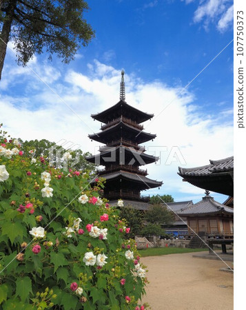 四國88聖地、第70寺、本山寺五層塔、芙蓉【香川縣三豐市豐中町】4 107750373