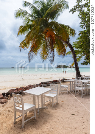Seaside view with white wooden tables and chairs under coconut palm trees 107750524