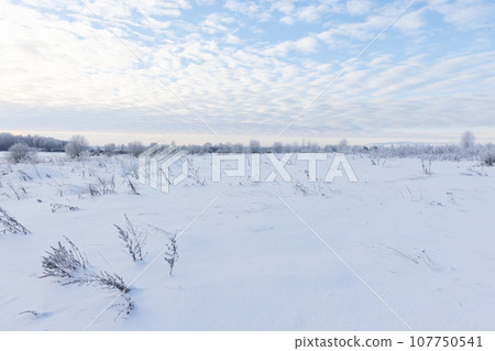Winter landscape with frozen grass, snowy field and bare trees under cloudy blue sky 107750541
