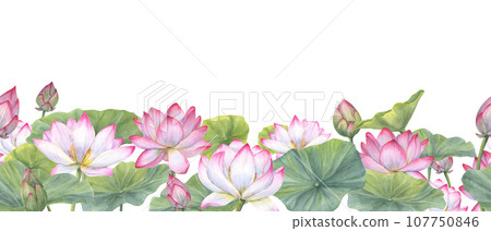 Seamless banner of Indian sacred lotus flowers with leaves. Water lily, Indian lotus, green leaf, bud. Space for text. Watercolor illustration. Horizontal board Seamless banner of Indian sacred lotus flowers with leaves. Water lily, Indian lotus, green leaf, bud. Space for text. Watercolor illustration. Horizontal board 107750846