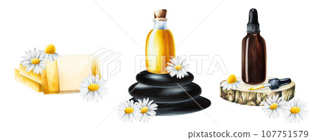 Watercolor white daisy flowers, bottle of serum, soap, cream with pipette on a wooden saw cut and stones isolated on white background. Beauty products and botany elements, cosmetology and medicine. 107751579