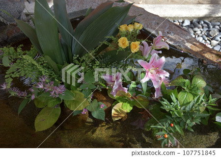 Kurama Temple Tenhorindo Chozubachi Sakyo Ward, Kyoto City Kurama Temple Tenhorindo Chozubachi Sakyo Ward, Kyoto City 107751845