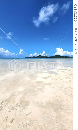 Tropical sea, Ishigaki Island, Sukuchi Beach 107752320
