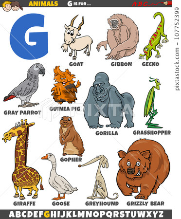 cartoon animal characters for letter G educational set cartoon animal characters for letter G educational set 107752399