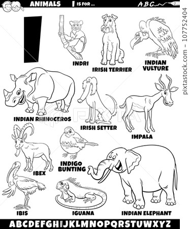cartoon animal characters for letter I set coloring page 107752404
