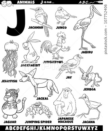 cartoon animal characters for letter J set coloring page cartoon animal characters for letter J set coloring page 107752406