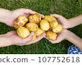 Hands of two people holding raw potatoes 107752618